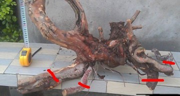 QQͼƬ20130907145052.jpg
