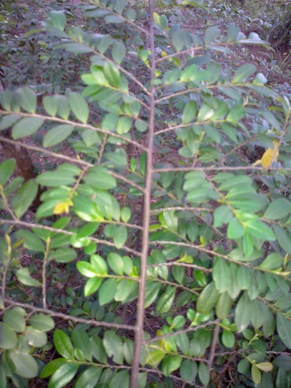 20130907993.jpg