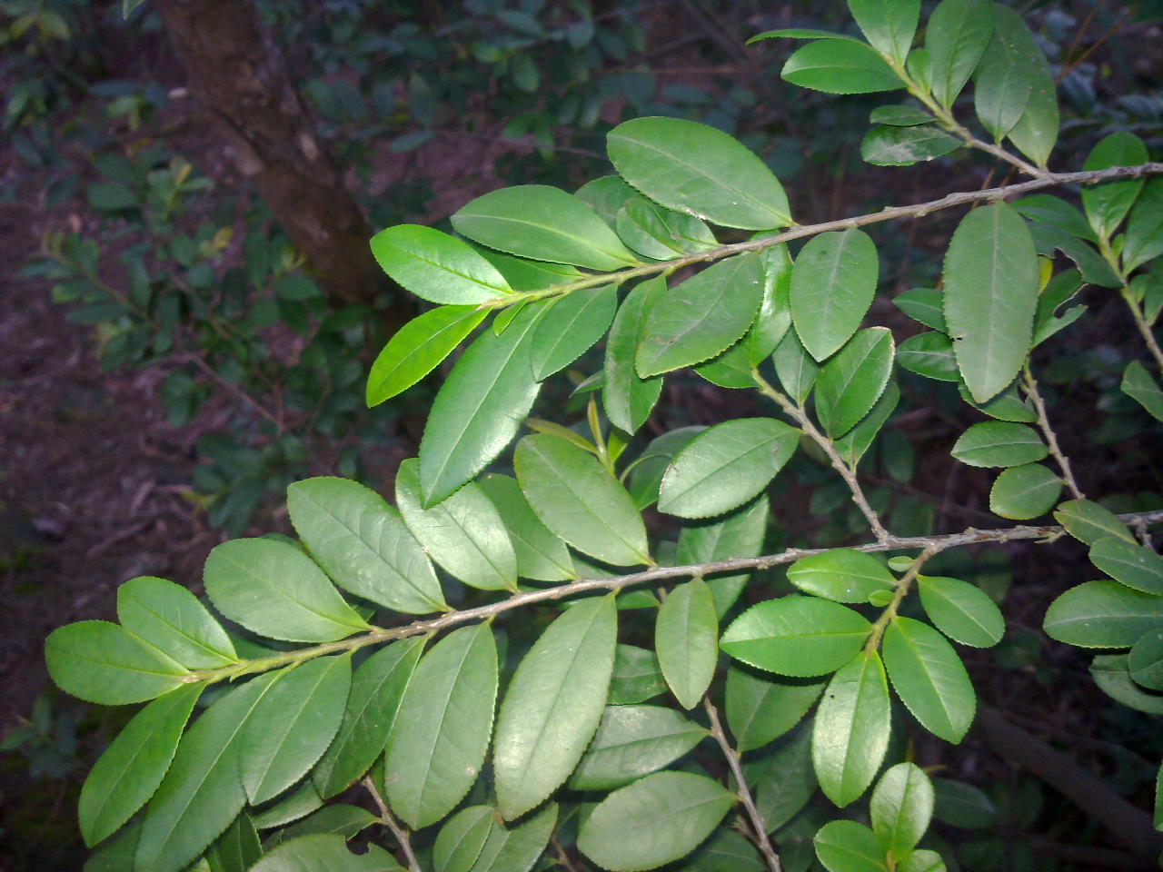 20130907991.jpg