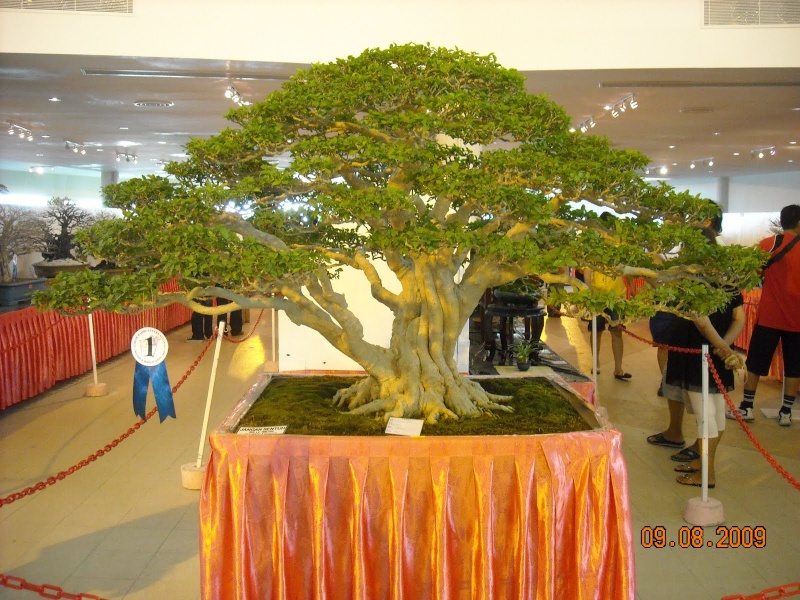 dscn1110.jpg