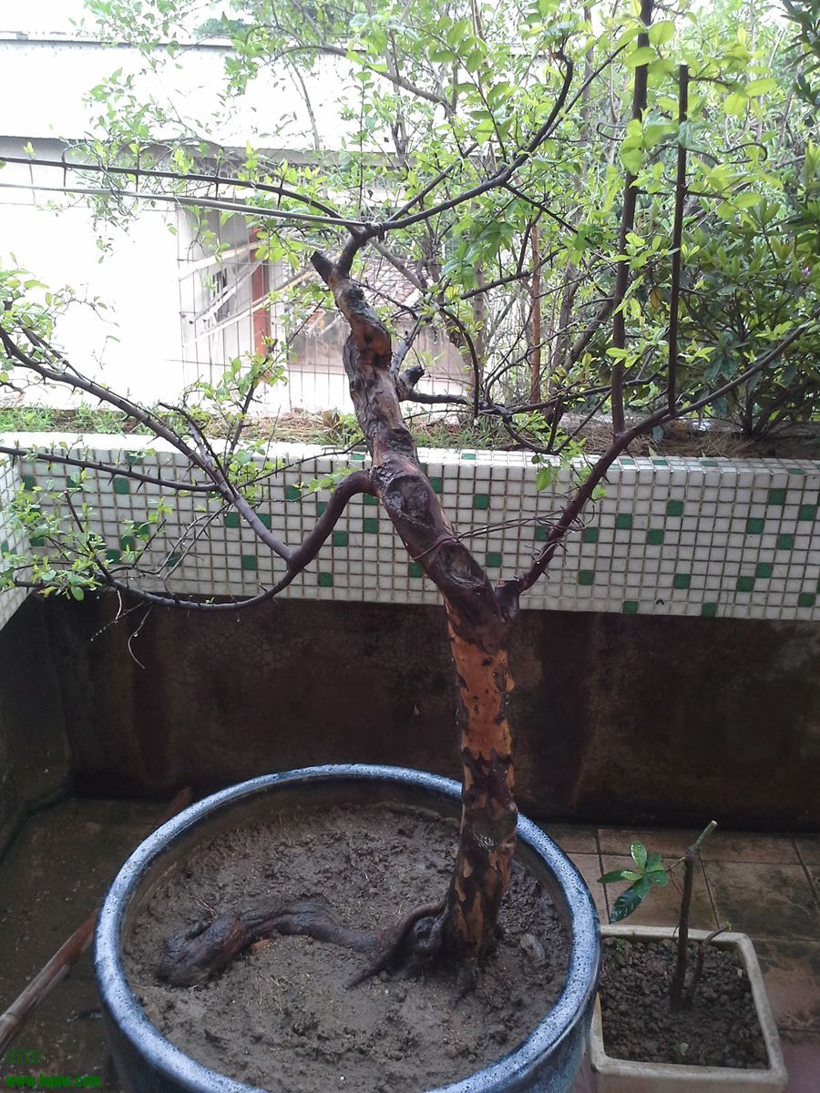20130908_143954_.jpg