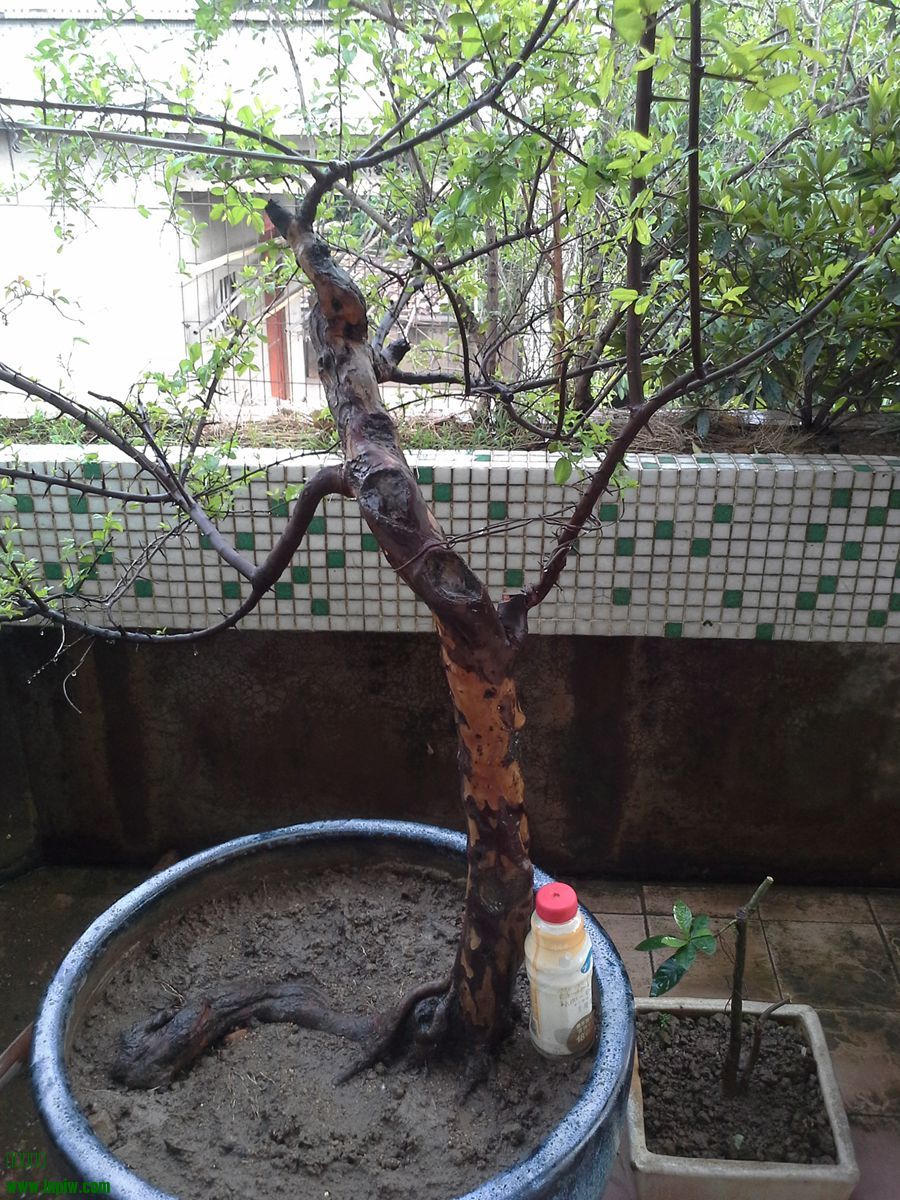20130908_144017_.jpg