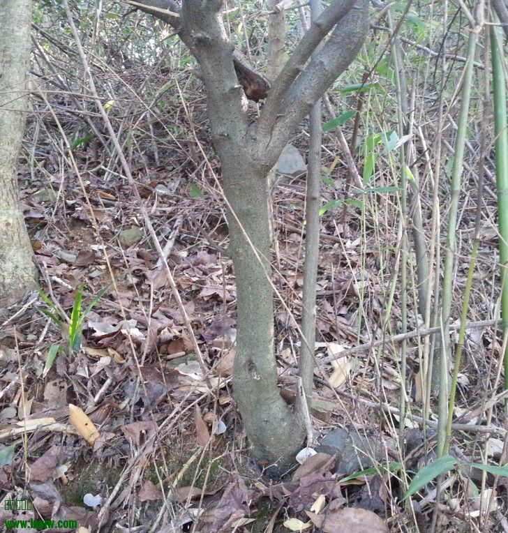 QQͼ20130910101302.jpg