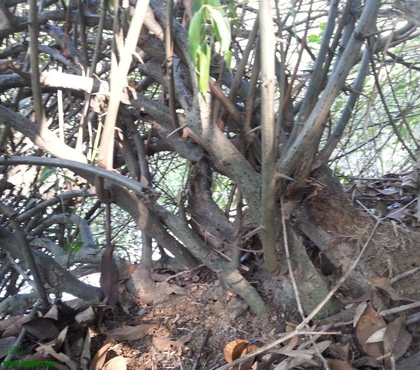 QQͼ20130910101321.jpg