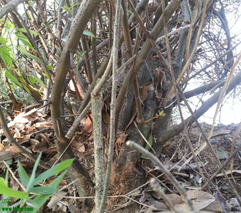 QQͼ20130910101334.jpg