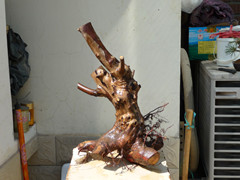 P1040574_.jpg