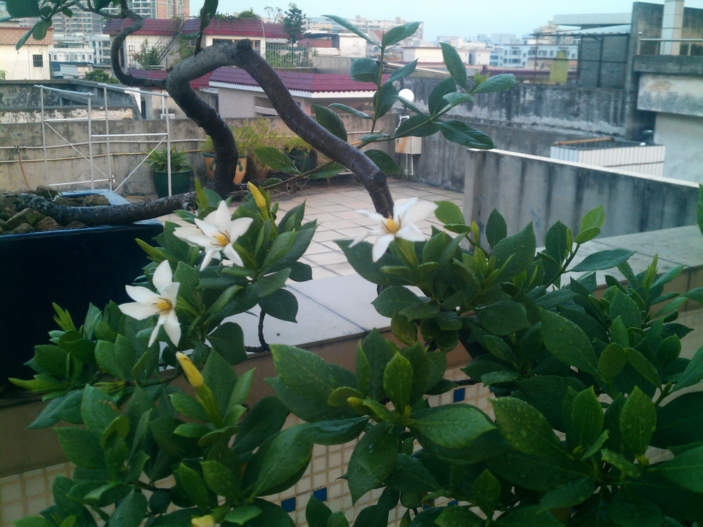 IMG_20130911_181116.jpg