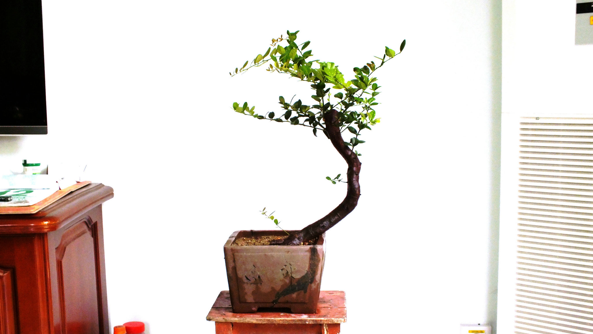Ƭ 002.jpg