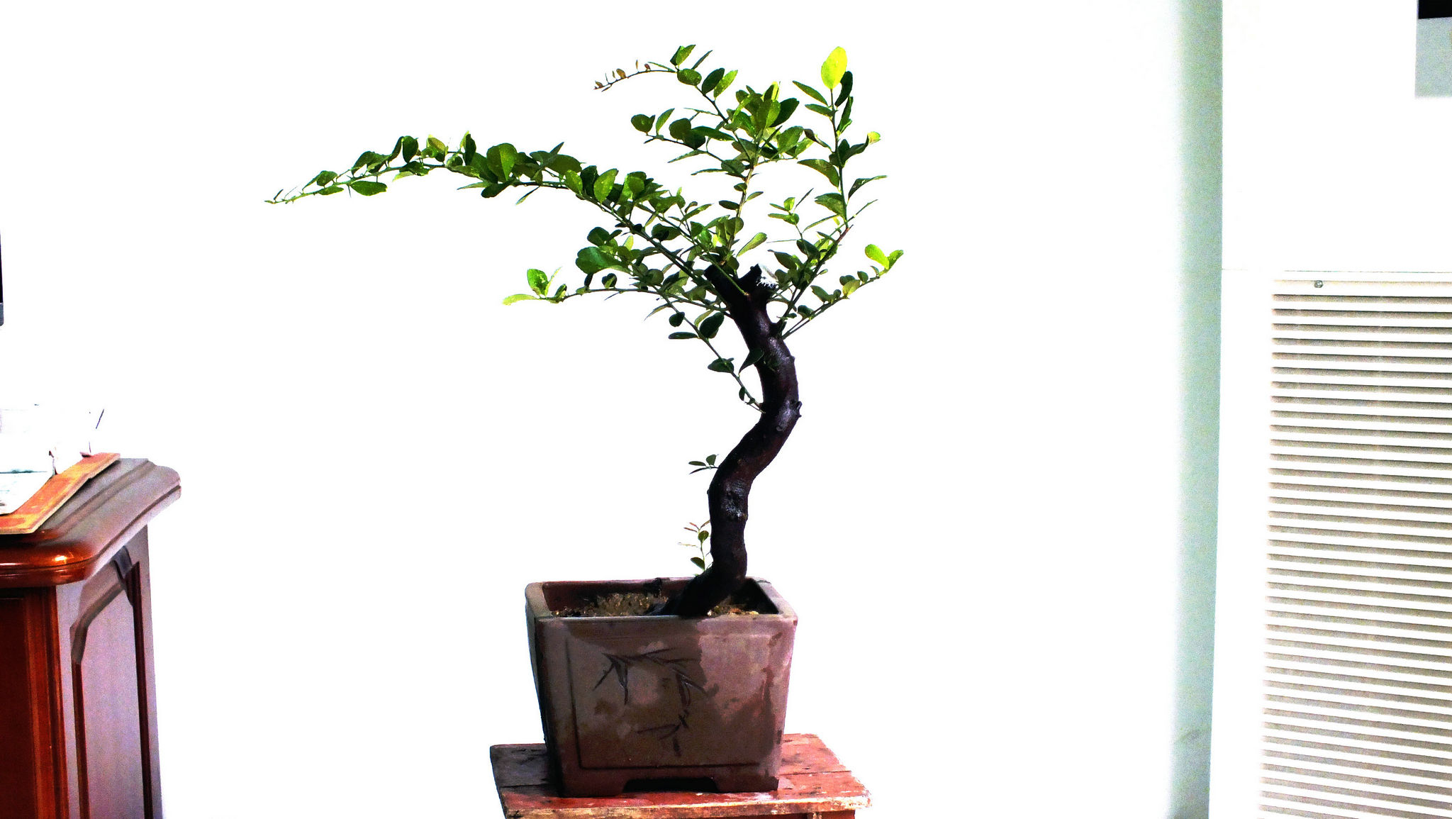 Ƭ 004.jpg