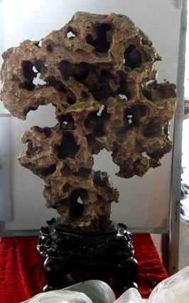 ع С ת SDC13547.JPG