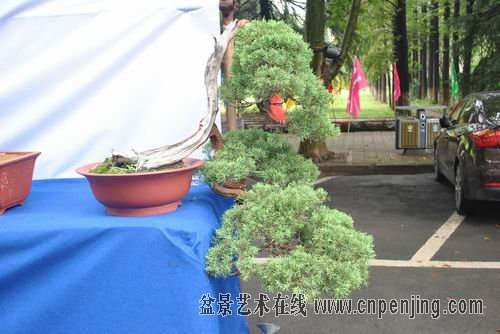 084628abpb90mbs9sbo0bm.jpg