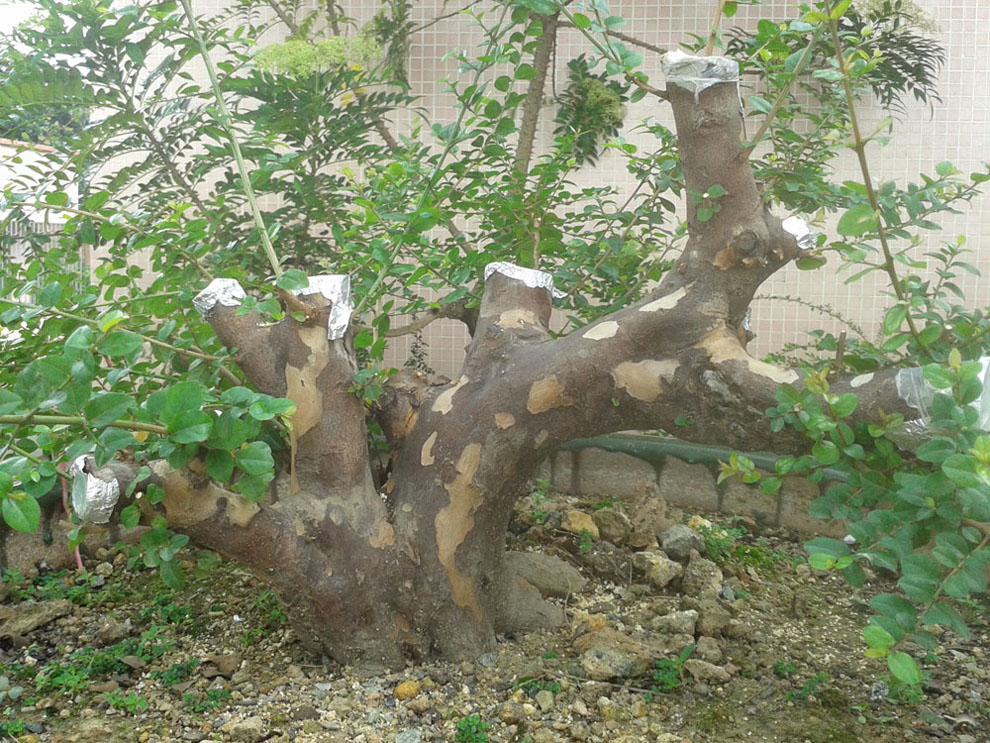 20130903_090914.jpg