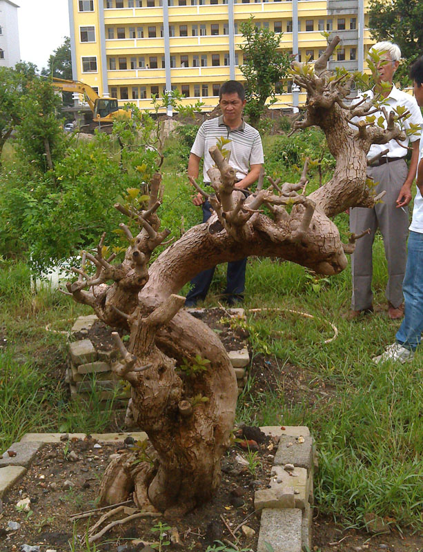IMAG0804.jpg