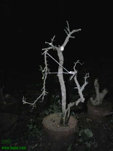 QQͼƬ20130914235205.jpg
