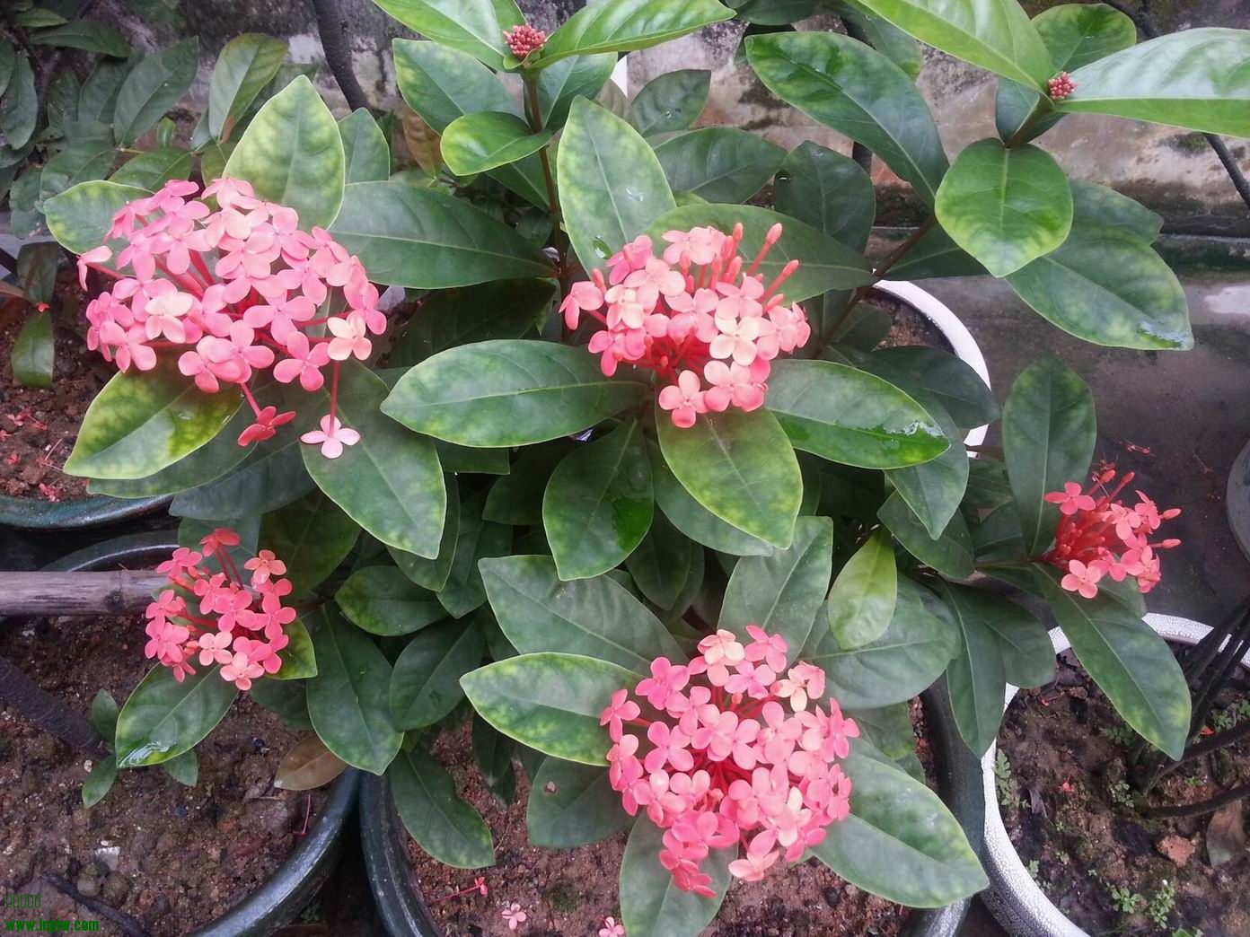 20130913_071902.jpg