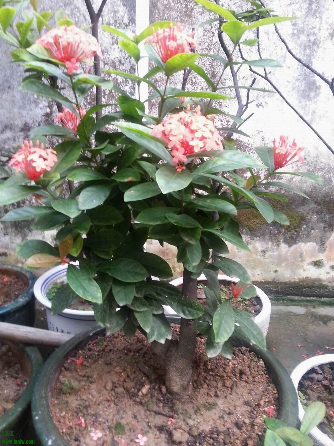 20130913_071836.jpg