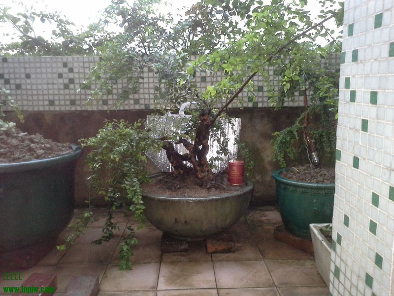 20130907_183210__.jpg