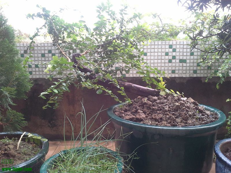 20130907_134543__.jpg