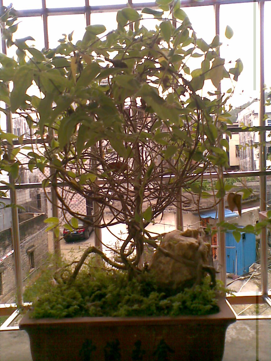 Ƭ 011.jpg
