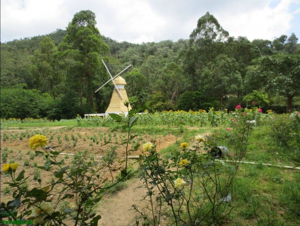 QQͼƬ20090908031017.jpg