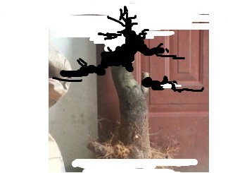 QQͼƬ20130921095533.jpg