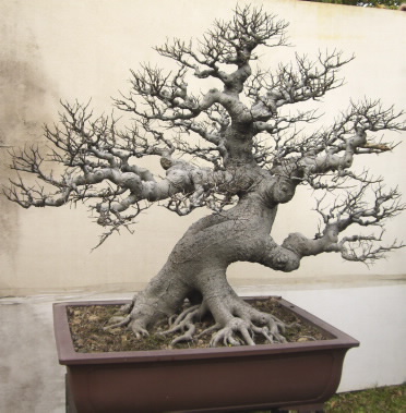et75720211650221.jpg