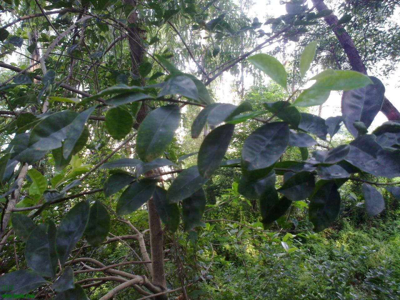201309161001.jpg