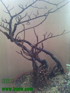 IMG_20130821_170213.jpg