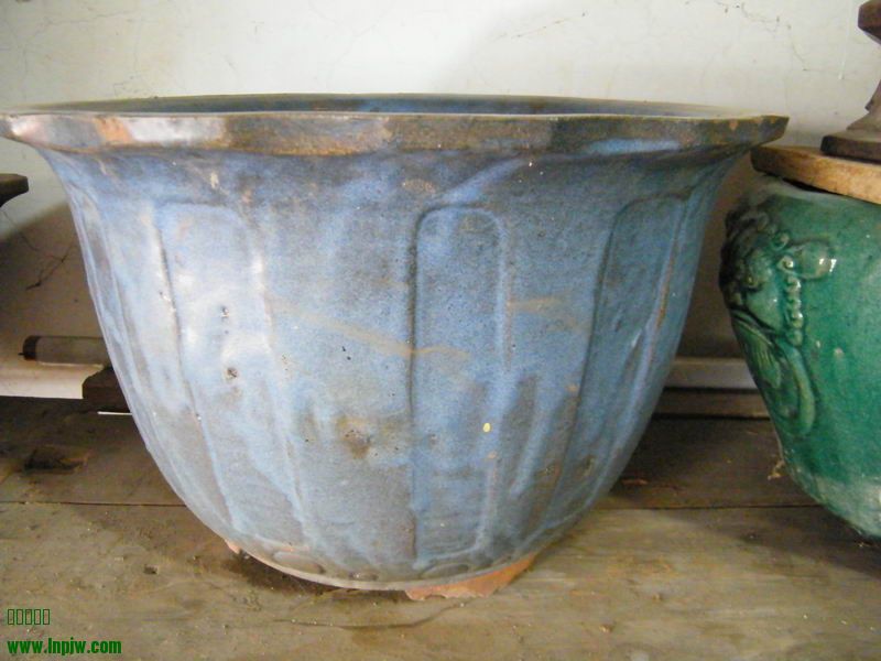 DSCF1254.JPG
