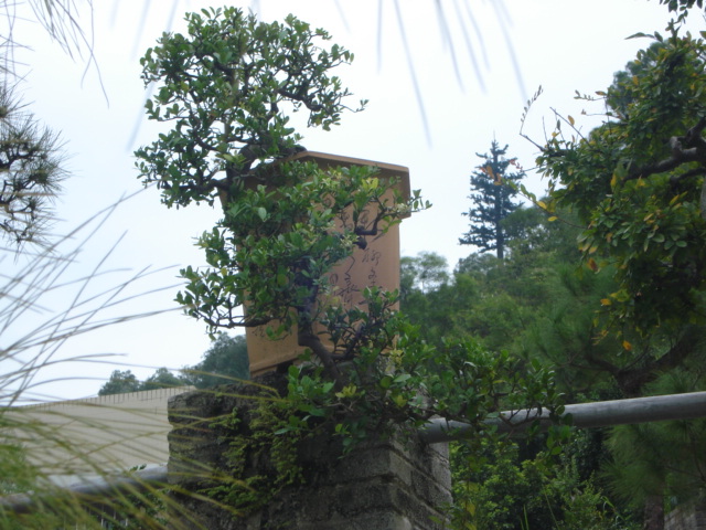 DSC01142.JPG