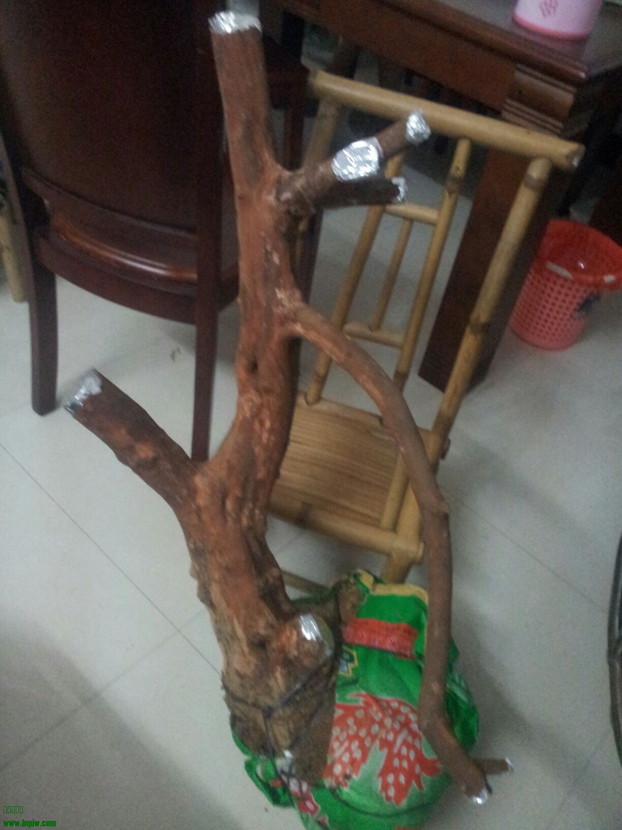 QQͼƬ20130925003852.jpg