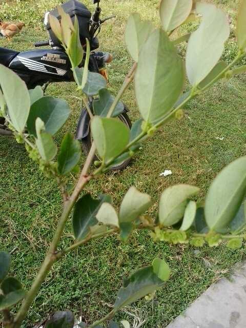 QQͼƬ20130925083226.jpg