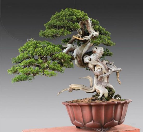 ˣأߴ磺85105cm ۣRMB350,000-400,000.jpg