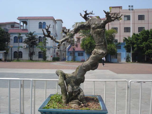 DSC01157.JPG