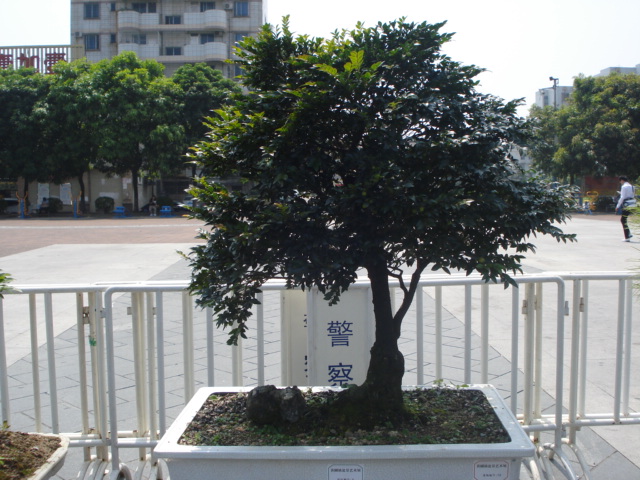 DSC01160.JPG