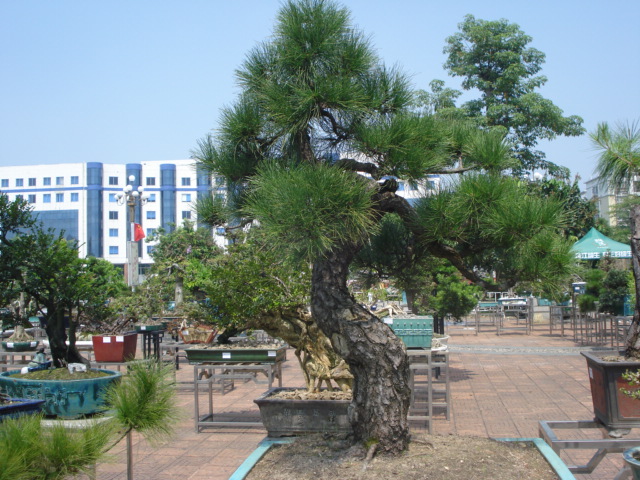 DSC01172.JPG