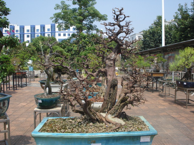 DSC01173.JPG