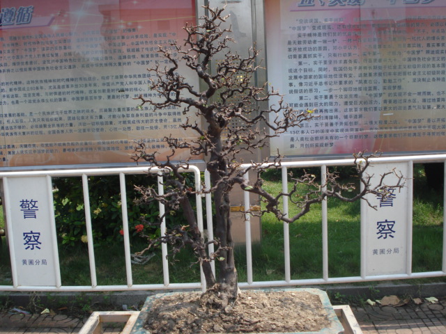 DSC01176.JPG