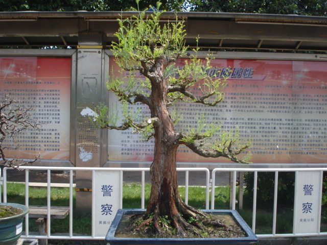 DSC01177.JPG