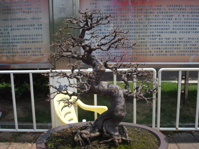 DSC01178.JPG