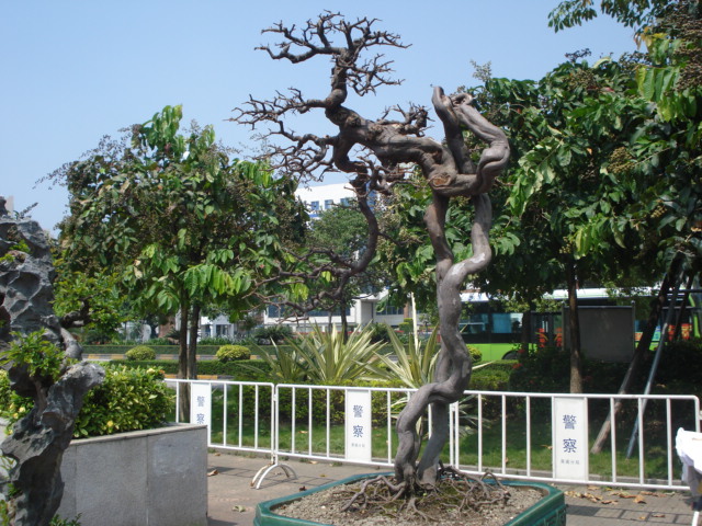 DSC01179.JPG