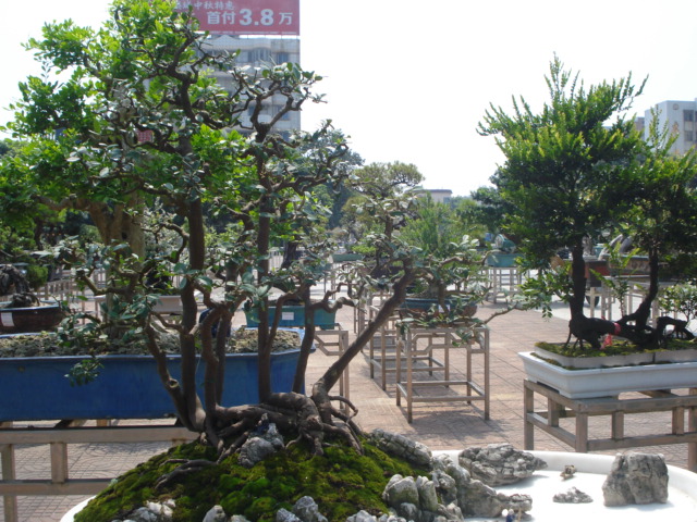 DSC01183.JPG