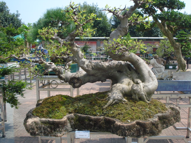 DSC01185.JPG