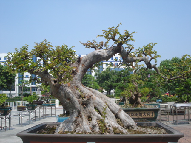 DSC01191.JPG