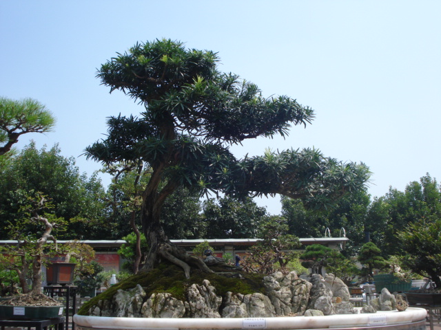 DSC01192.JPG