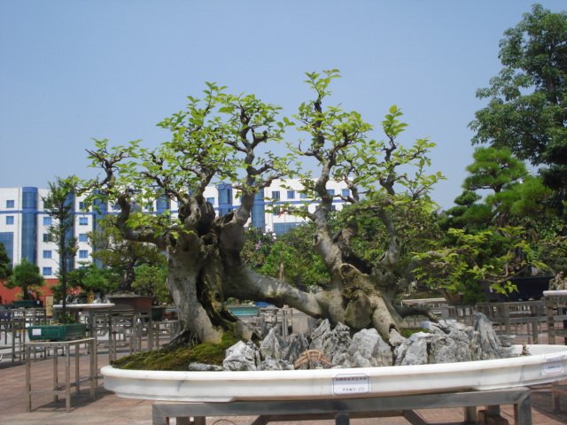 DSC01195.JPG