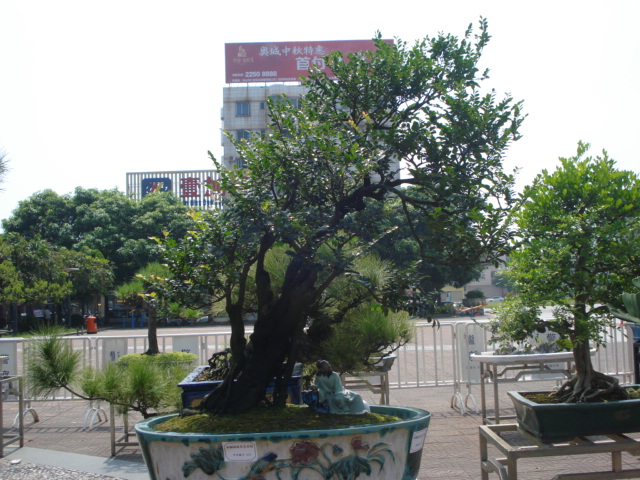 DSC01196.JPG