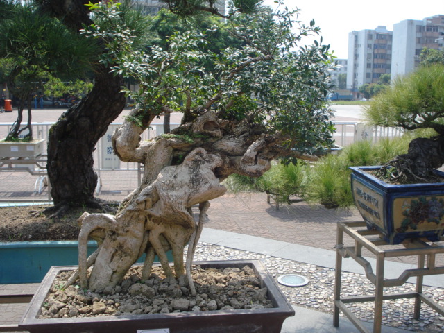 DSC01197.JPG