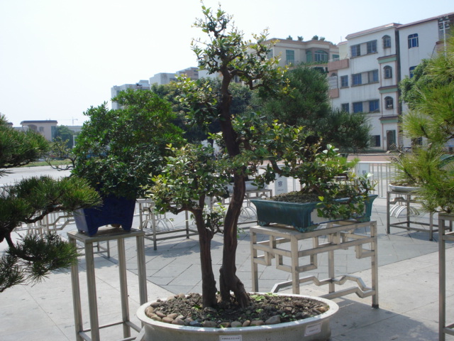 DSC01208.JPG