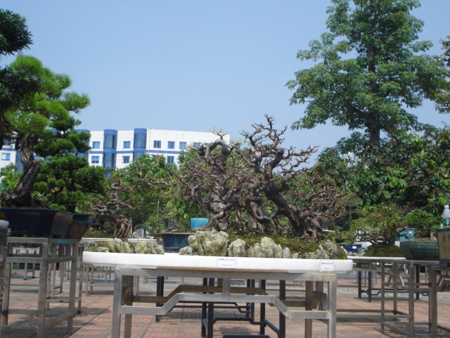 DSC01211.JPG